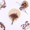 Dark Red 70 Pcs Dried Babys Breath Pressed Flowers Bulk.Vacuum-Packed Mini Dried Babies Breath Flowe Specimen +2 Tweezers, for Resin Art /DIY Making Wedding Card/ Home Party Decor.